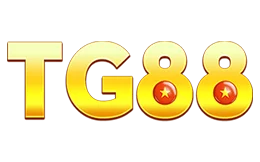 yggnis.za.com